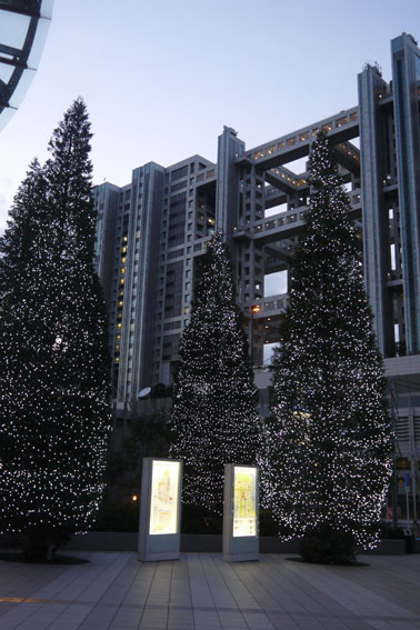 f0222692_10342580.jpg