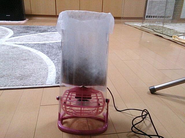 b0081503_1317127.jpg