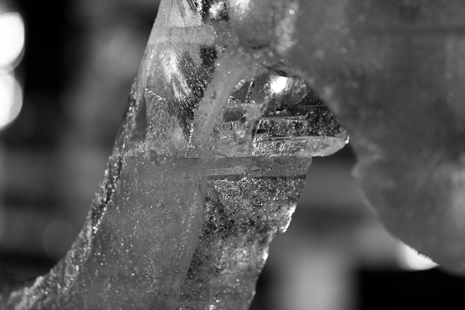 a0155104_22224274.jpg