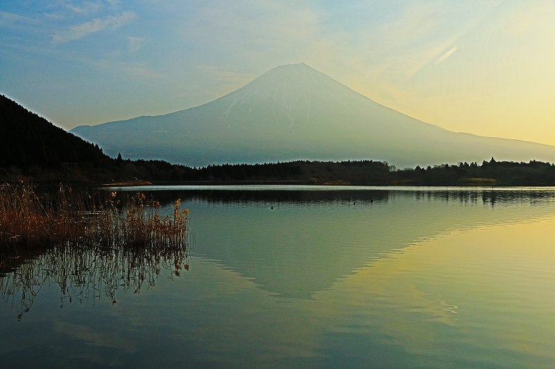 a0188405_16522066.jpg
