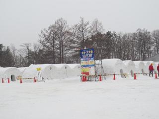 f0248616_21301425.jpg