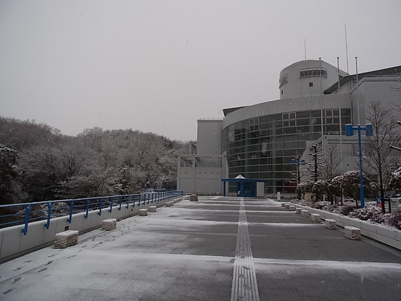 f0191517_9334768.jpg