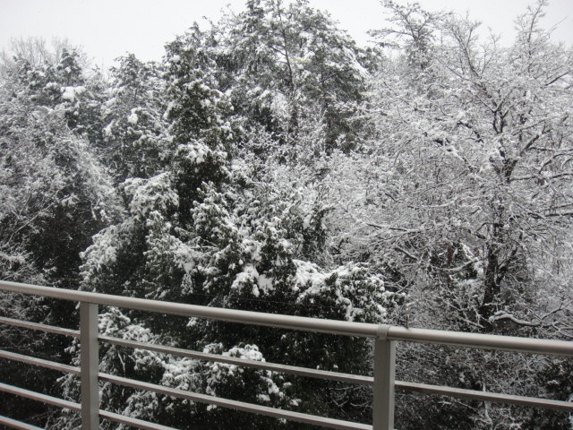 a0239418_10250993.jpg
