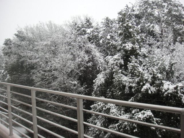 a0239418_10253028.jpg