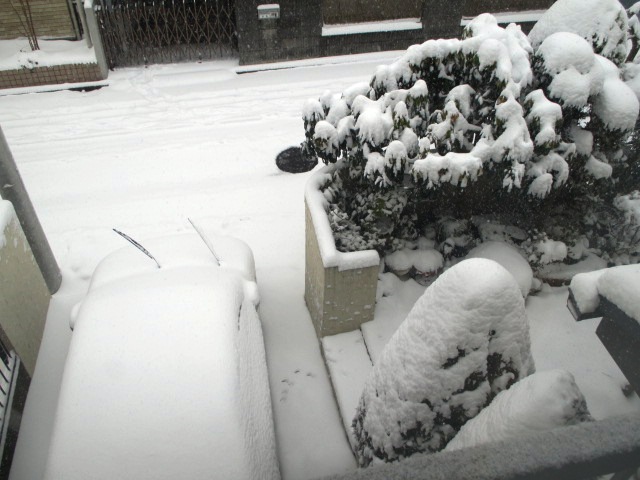 e0130722_12532888.jpg