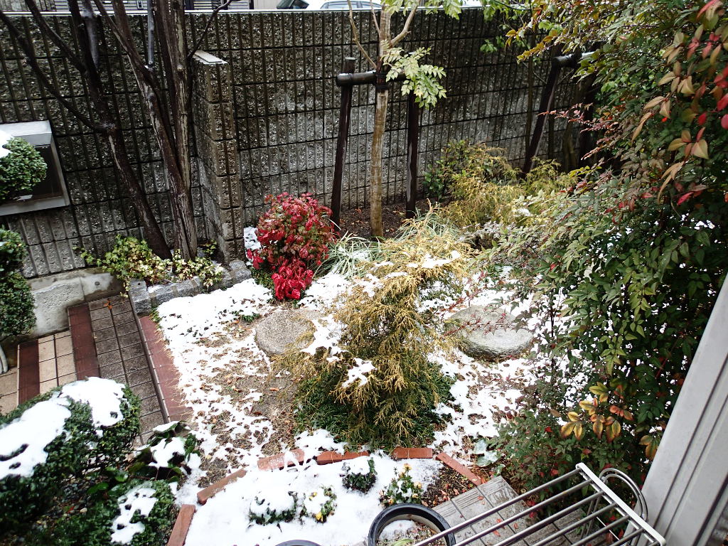 e0298326_9483383.jpg
