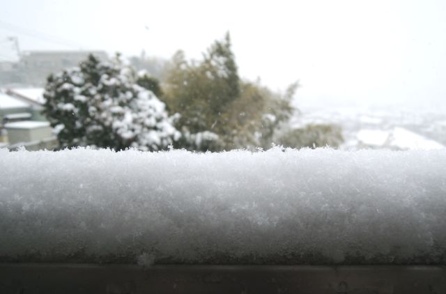 f0229926_12104522.jpg