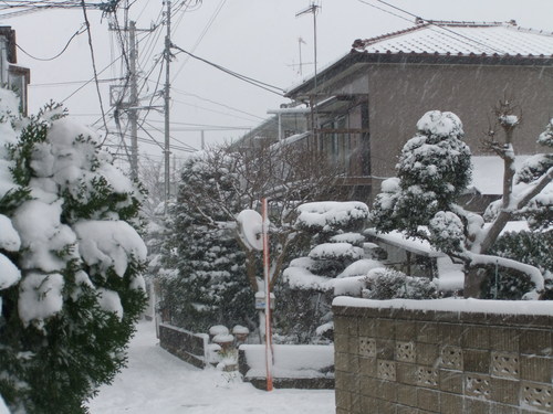 b0137932_20245434.jpg