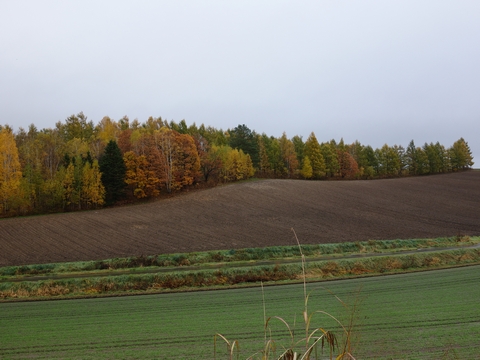 b0042334_13525582.jpg