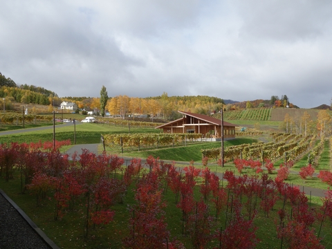 b0042334_14352910.jpg