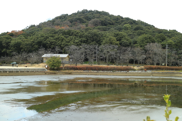 a0219537_2223273.jpg