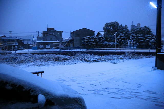 a0242438_8153321.jpg