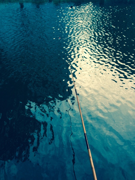 c0234439_5573342.jpg