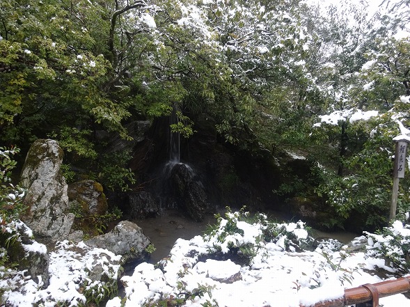 b0299042_1434239.jpg