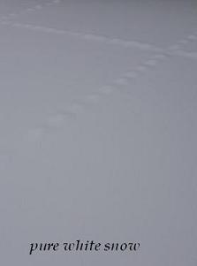 c0225143_1314064.jpg