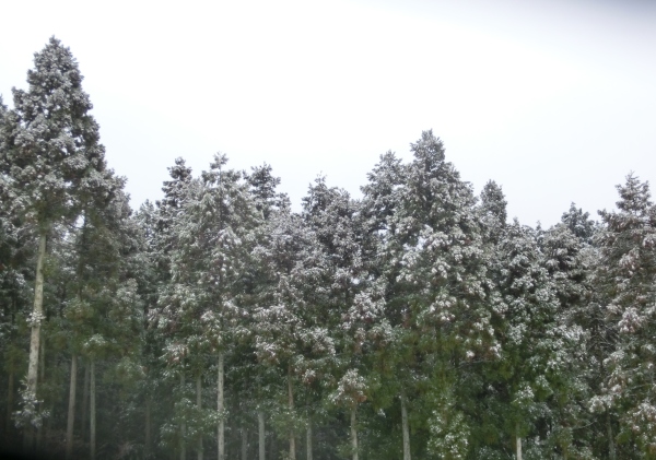 b0132746_15003290.jpg