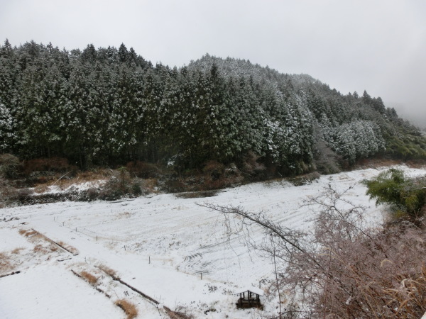 b0132746_15043986.jpg