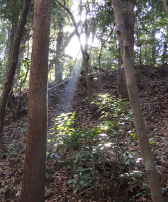 b0173754_15441715.jpg