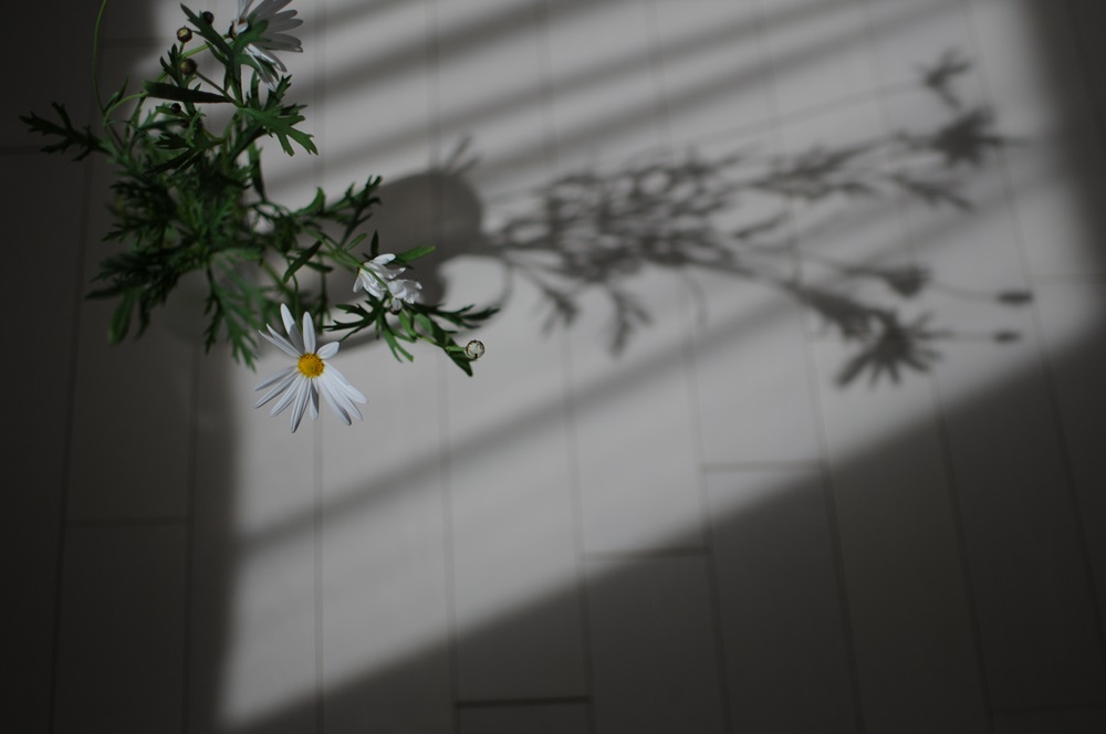 c0122455_1835593.jpg