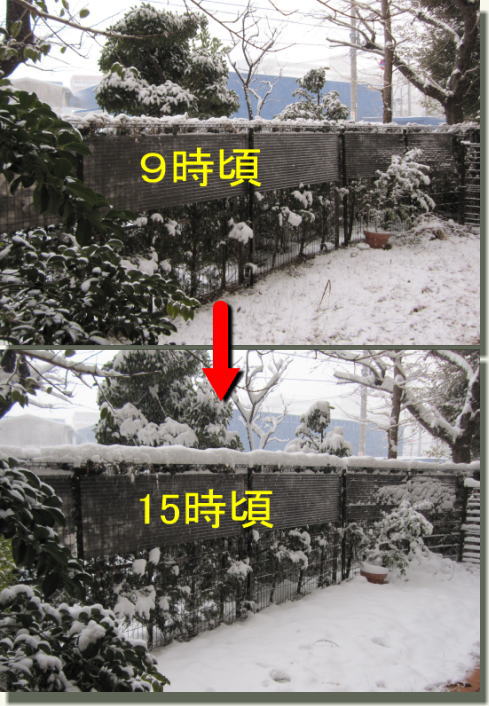 f0224363_15384470.jpg