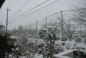 e0041168_07361902.jpg