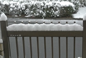 e0041168_07365187.jpg