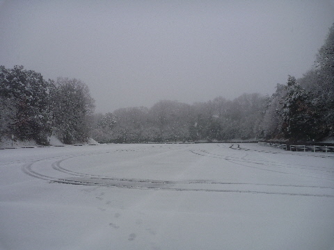 e0161972_13183866.jpg