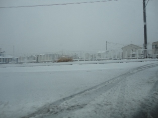 d0109373_18432810.jpg