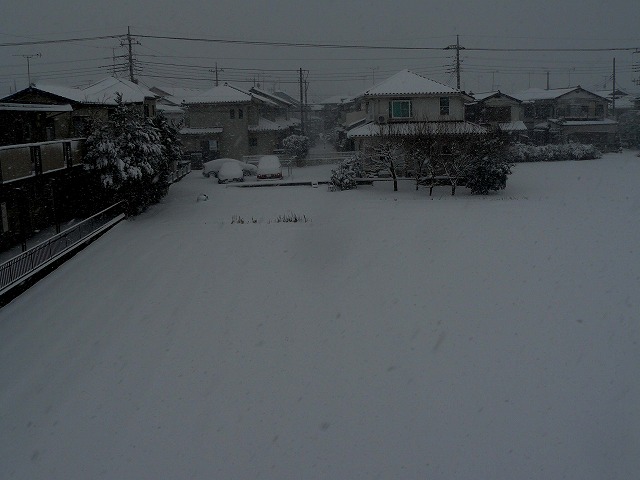 d0019074_16182275.jpg