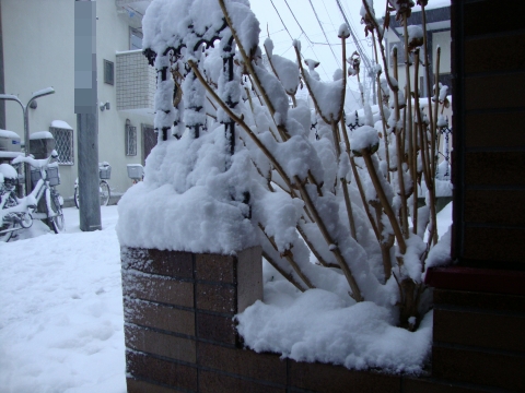 c0322794_1804236.jpg