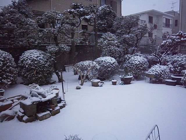f0130894_17543783.jpg