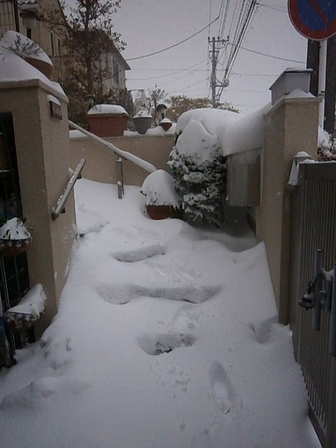 f0130894_1844620.jpg