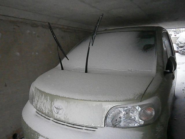 f0130894_184481.jpg