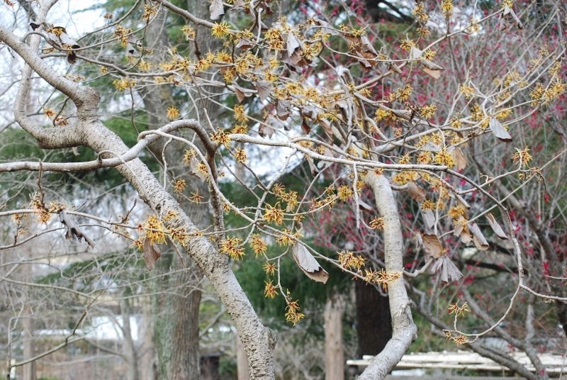 e0025300_18205178.jpg