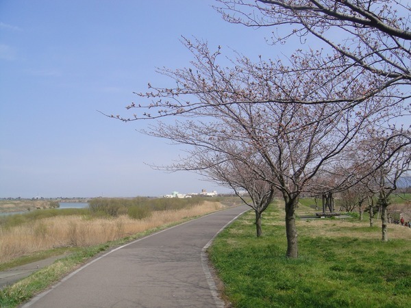 b0319003_051665.jpg