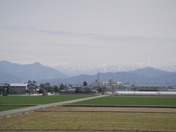 b0319003_05169.jpg