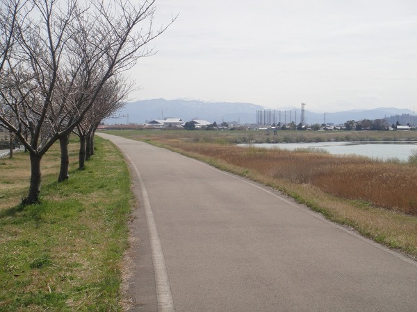 b0319003_051757.jpg