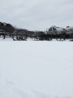 e0320808_22204187.jpg