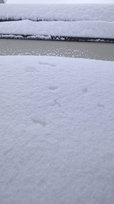 f0155808_7454747.jpg