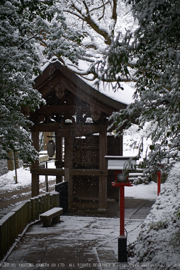 f0221510_805976.jpg