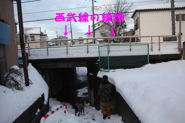 d0224111_10143942.jpg