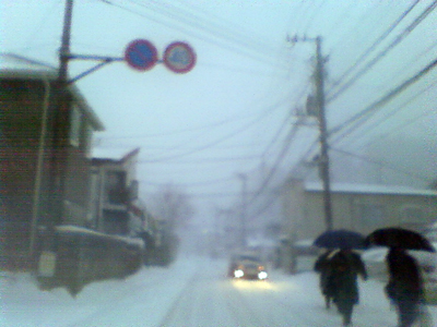 d0171219_6565420.jpg