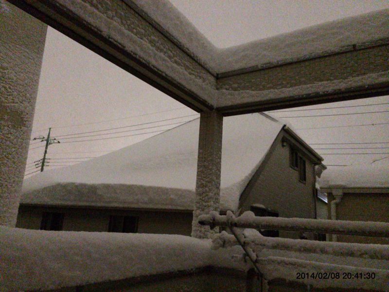 f0128821_01398.jpg