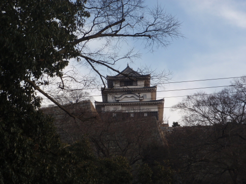 c0034029_14681.jpg