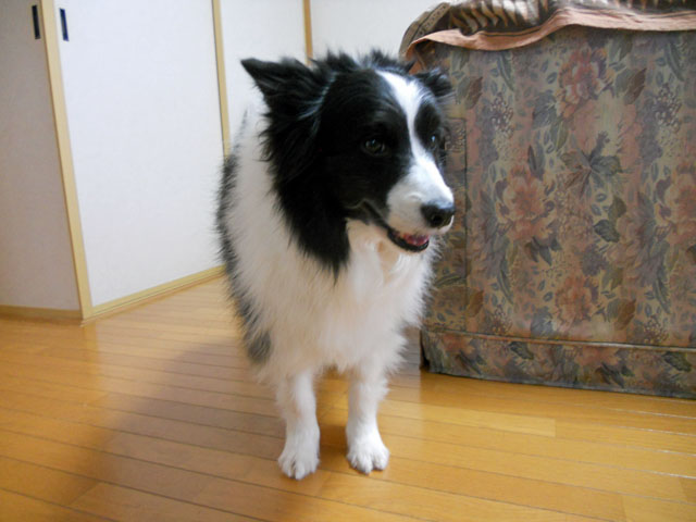 d0059230_93175.jpg