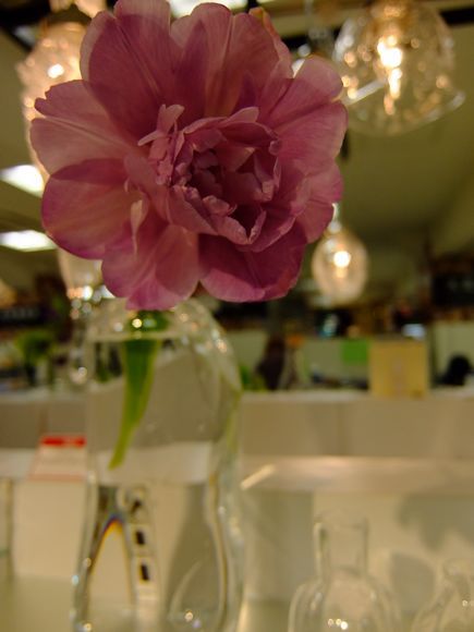 f0045630_1052488.jpg