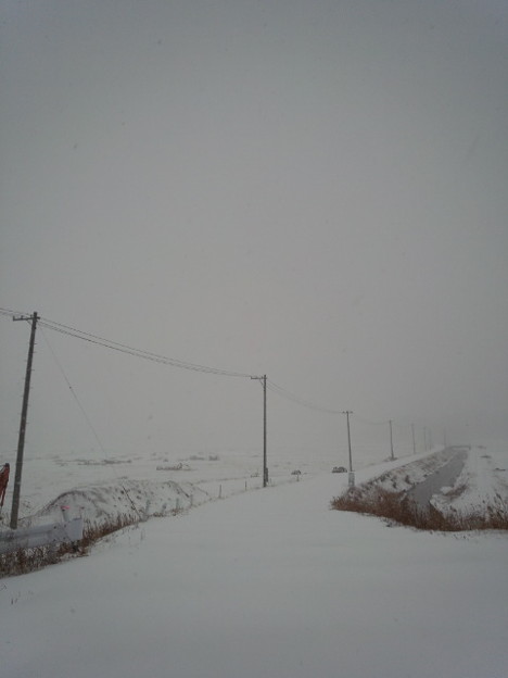 f0132230_9582020.jpg