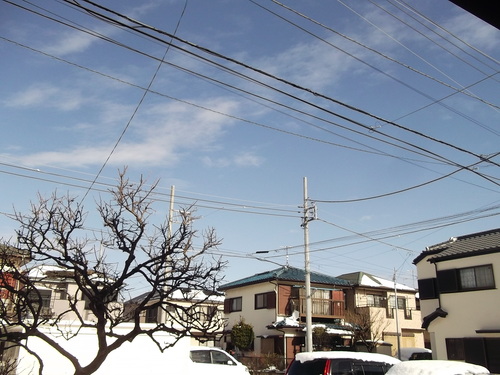 b0137932_9575117.jpg