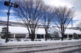 c0051032_151037100.jpg