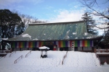 c0051032_158449.jpg